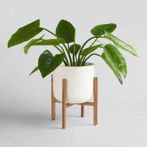 "Scandi Minimal"